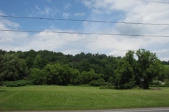 IMG_8198-400x300