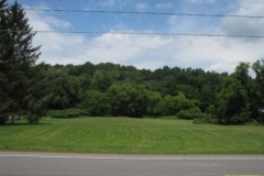 IMG_8199-400x300