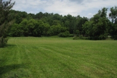 IMG_8201-400x300