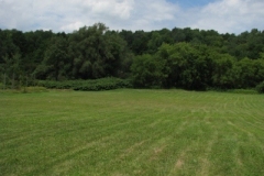 IMG_8202-400x300