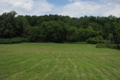 IMG_8203-400x300