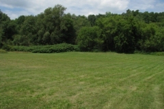 IMG_8204-400x300