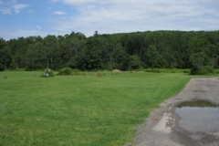 IMG_8301-400x300