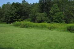 IMG_8308-400x300