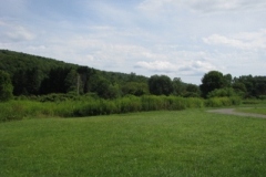 IMG_8309-400x300