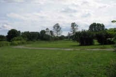 IMG_8310-400x300