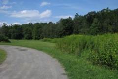 IMG_8312-400x300