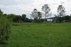 IMG_8313-400x300