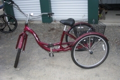 IMG_9207-400x300