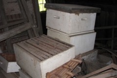 IMG_9244-400x300