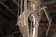 IMG_9246-400x300