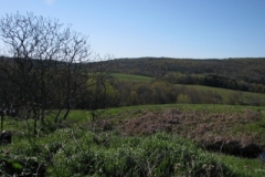IMG_00042028400x30029