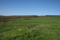 IMG_00052028400x30029