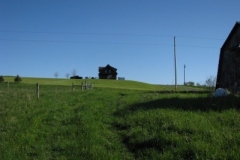 IMG_00092028400x30029