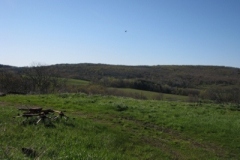 IMG_00112028400x30029