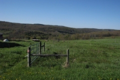 IMG_00122028400x30029