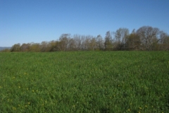 IMG_00242028400x30029
