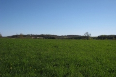 IMG_00252028400x30029