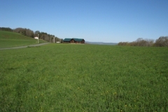 IMG_00452028400x30029