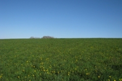 IMG_00502028400x30029