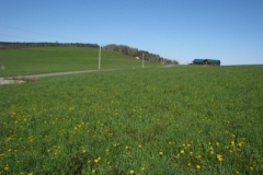 IMG_00512028400x30029