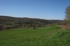 IMG_00552028400x30029