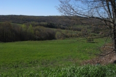 IMG_00672028400x30029