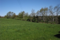 IMG_00832028400x30029
