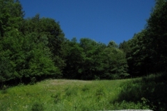 IMG_05972028400x30029