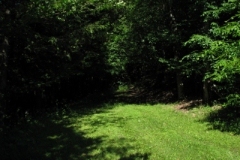 IMG_06012028400x30029