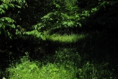 IMG_06042028400x30029