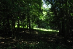 IMG_06062028400x30029
