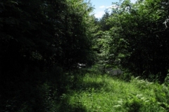 IMG_06082028400x30029
