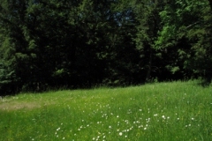IMG_06122028400x30029