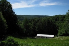 IMG_06132028400x30029