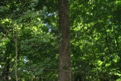 IMG_06312028400x30029
