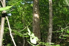 IMG_06352028400x30029