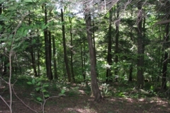 IMG_06392028400x30029