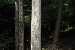 IMG_06402028400x30029
