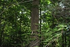 IMG_06422028400x30029