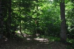IMG_06442028400x30029