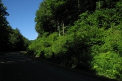 IMG_06572028400x30029