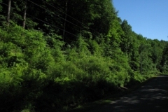 IMG_06602028400x30029