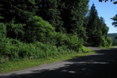 IMG_06642028400x30029