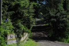 IMG_06652028400x30029