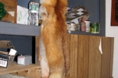 IMG_06712028300x40029