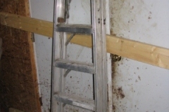 IMG_07762028300x40029