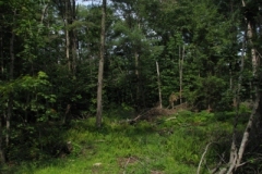IMG_09492028400x30029