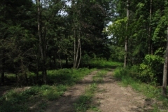 IMG_09502028400x30029
