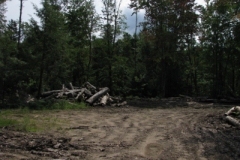 IMG_09552028400x30029